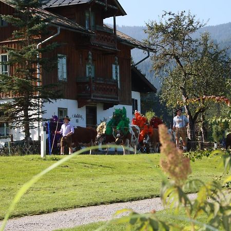 Ferienwohnung Gästehaus Högerhof Hopfgarten im Brixental Exterior foto