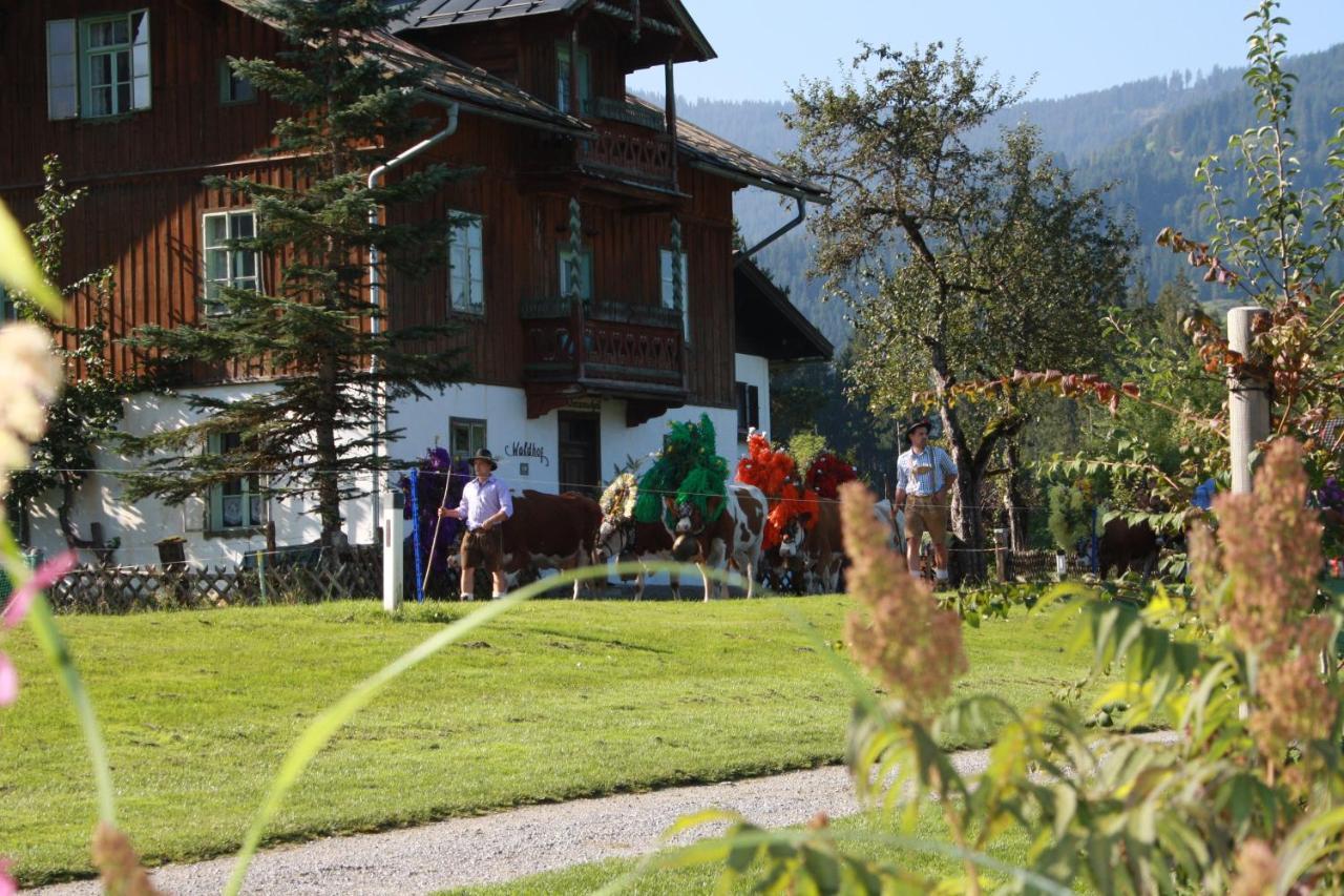 Ferienwohnung Gästehaus Högerhof Hopfgarten im Brixental Exterior foto